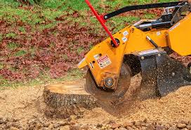 Best Stump Grinding and Removal  in Cumberland Hill, RI